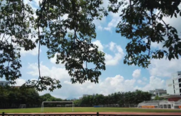 广州市市从化区从化中学2023年招生代码-广东技校排名网