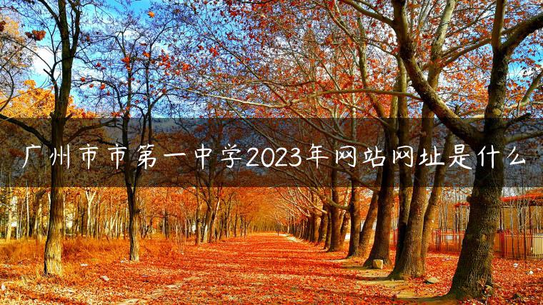 广州市市第一中学2023年网站网址是什么