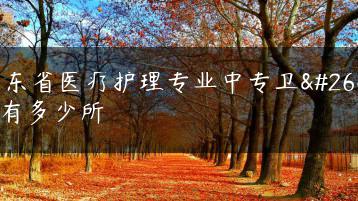广东省医疗护理专业中专卫校有多少所-广东技校排名网