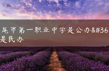 汕尾市第一职业中学是公办还是民办-广东技校排名网