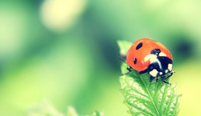 广州市穗华职业技术学校2023年宿舍条件-广东技校排名网