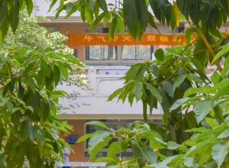 广东广雅中学本部校区2023年招生计划-广东技校排名网