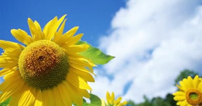 江门荷塘职业技术学校2023年招办联系电话-广东技校排名网