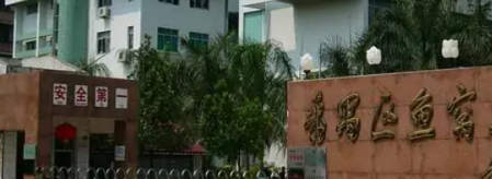 广州市市南沙鱼窝头中学2023年招生计划是什么-广东技校排名网