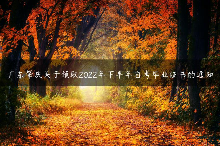 广东肇庆关于领取2022年下半年自考毕业证书的通知-广东技校排名网