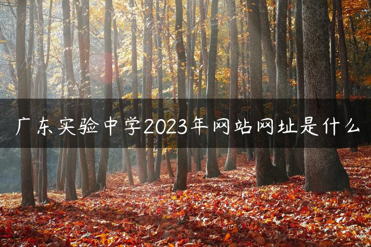 广东实验中学2023年网站网址是什么-广东技校排名网