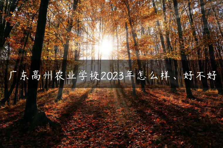 广东高州农业学校2023年怎么样、好不好