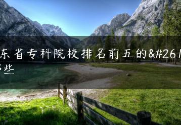 广东省专科院校排名前五的是哪些-广东技校排名网