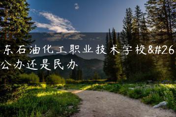 广东石油化工职业技术学校是公办还是民办-广东技校排名网