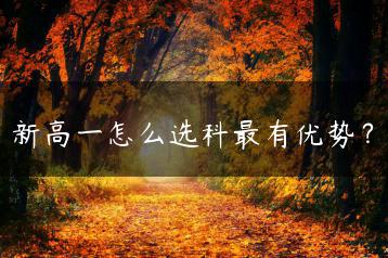 新高一怎么选科最有优势?-广东技校排名网