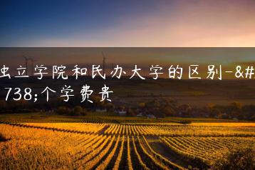 独立学院和民办大学的区别-哪个学费贵-广东技校排名网