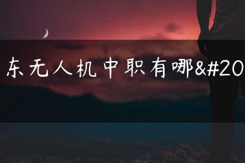 广东无人机中职有哪些-广东技校排名网