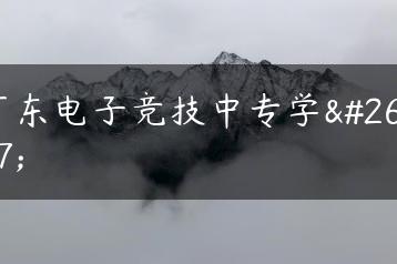 广东电子竞技中专学校-广东技校排名网