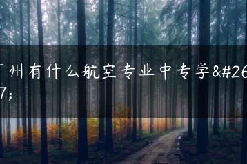 广州有什么航空专业中专学校-广东技校排名网