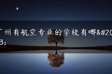 广州有航空专业的学校有哪些-广东技校排名网
