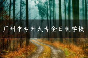 广州中专升大专全日制学校-广东技校排名网