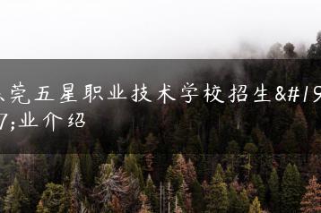 东莞五星职业技术学校招生专业介绍-广东技校排名网