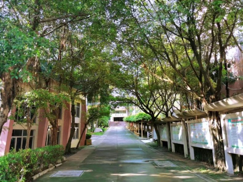 广州中专升大专全日制学校有哪些 中专能去的广州大专学校-广东技校排名网