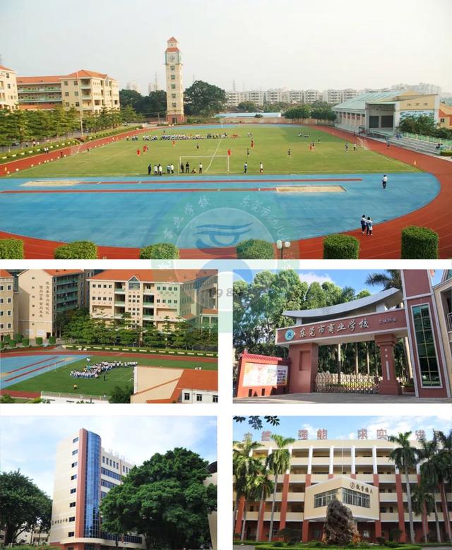 东莞公办职业学校排名-3 东莞公办职业学校排名-广东技校排名网