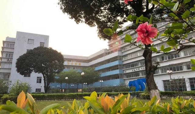 广东省职高学校排名-2 广东省职高学校排名-广东技校排名网