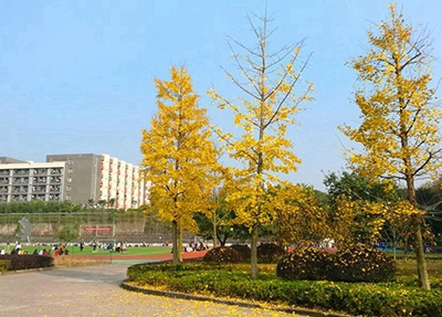 广东理工职业学院学费-广东技校排名网
